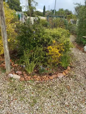 a garden with flowers and plants in a yard at 2 on Fifth Avenue in Botrivier
