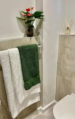 a bathroom with a green towel and a plant at Platform 132 - 2 On Tabak with onsite Parking in Paarl