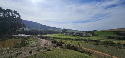 a dirt road in a field with a mountain in the background at Hoopoe Cottage Horns op de Hoek in Hartebeest Rivier