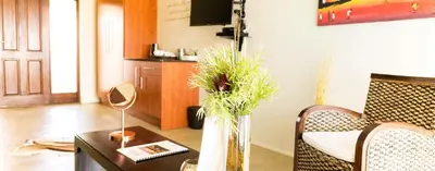 a living room with a table and a vase with plants at Kapensis Guesthouse II Venue & self-catering in Bettyʼs Bay