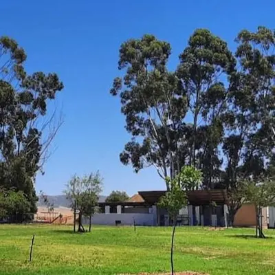 a house in the middle of a field with trees at Blouporselein guestfarm cabin in Hermon