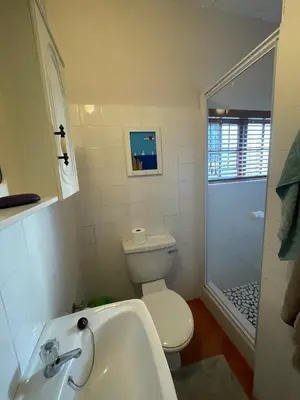 a bathroom with a toilet and a sink and a shower at Voelklip Holiday Home in Hermanus