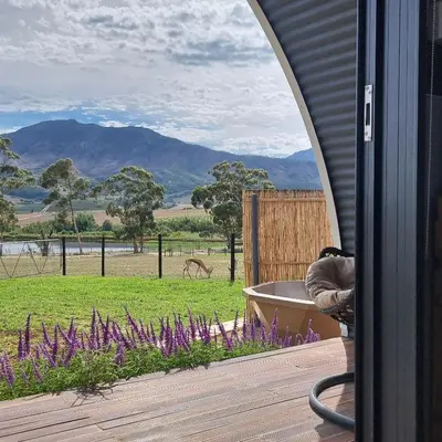 a room with a view of a field with purple flowers at La Vita Romantic Getaway Cabin in Wellington