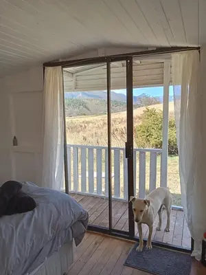 a dog standing next to a bed in a bedroom at Cabin on Spinlea Farm Campsite in Caledon