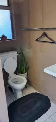 a bathroom with a toilet and a sink and a plant at Clay Stone Cottage in Goodwood