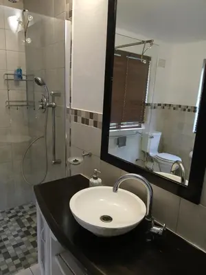 a bathroom with a sink and a shower and a mirror at Rusticana A in Cape Town