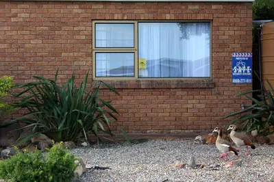 a group of birds standing in front of a brick building at Grace Haven Self Catering in Hermanus