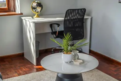 a white table with a plant on top of it at Huguenot Franschhoek in Franschhoek