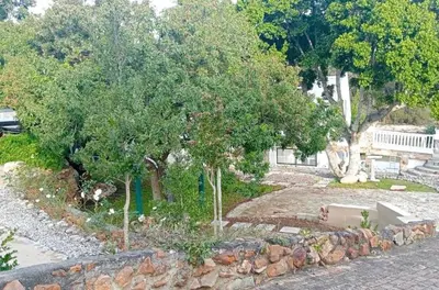 a garden with trees and a stone wall and a bench at Studio at Providence in Hermanus