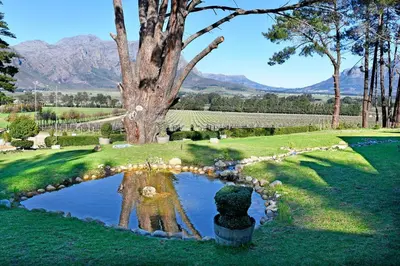 a reflection of a tree in a pond in a garden at Topiary Wine Estate & Cottages in Franschhoek