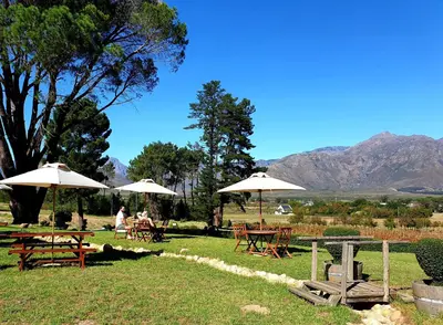 a group of picnic tables and umbrellas in a field at Topiary Wine Estate & Cottages in Franschhoek