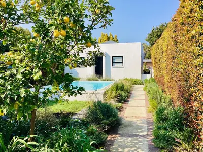 a house with an orange tree and a swimming pool at Suburban Bliss in Stellenbosch