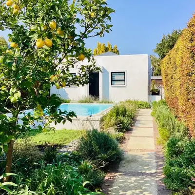 Suburban Bliss