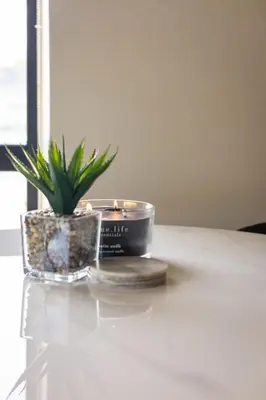 a candle and a potted plant on a table at Heaven & Earth Apartment 8 in Hermanus