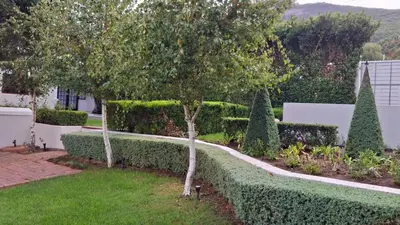 a garden with a hedge and a tree and bushes at La Mode Garden Cottage in Paarl
