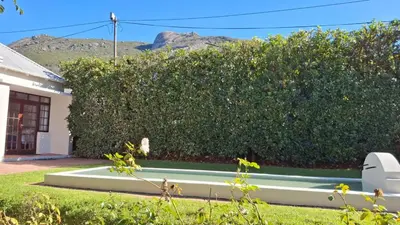 a large green bush next to a house at La Mode Garden Cottage in Paarl
