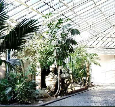 a greenhouse with a bunch of plants in it at The Strand Pavilion Gordon's Bay in Strand