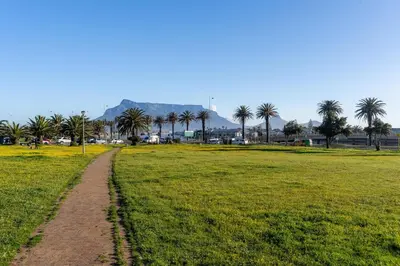 a dirt road in a field with palm trees at Modern 1 Bedroom Table Mountain View Hideaway, Milnerton in Cape Town