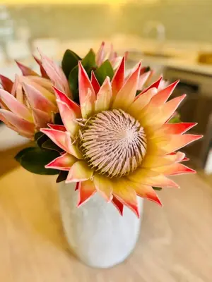 a flower in a white vase on a table at Villa Mignon in Franschhoek