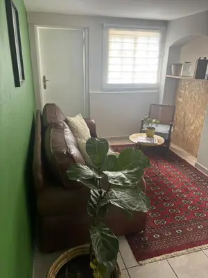 a living room with a couch and a plant at The Dragonfly in Paarl