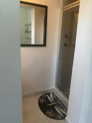 a bathroom with a shower and a mirror at The Dragonfly in Paarl