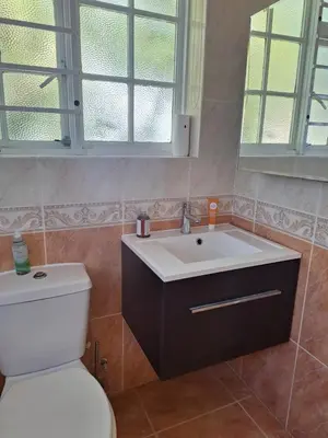 a bathroom with a white toilet and a sink at Cape Dutch haven in Durbanville