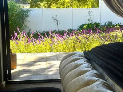 a couch in front of a garden with pink flowers at 10onErika Franschhoek in Franschhoek