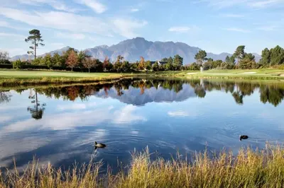 two ducks swimming in a pond at a golf course at Luxury Lodge TheView, Pearl Valley Golf Estate in Paarl