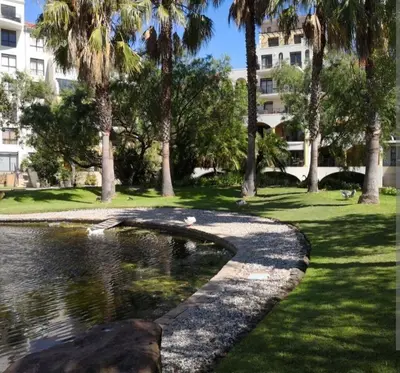 a pond in a park with palm trees and a building at Nice Views in Cape Town