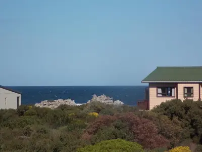 a house on a hill with the ocean in the background at Avondsrus Guesthouse in Bettyʼs Bay