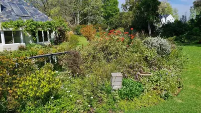 a garden with lots of plants and flowers at Tranquil Stylish Home with Nature Pool near Reserve in Somerset West