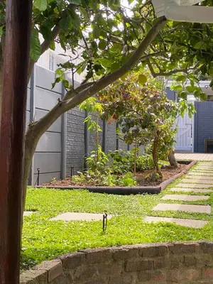 a garden with a tree and some grass and stairs at Garden flat Durbanville - with Office, WiFi and secure gated parking in Eversdal