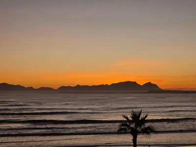 a palm tree on the beach at sunset at 607 Odean - Luxury Ocean Escape in Strand