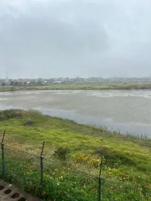 a view of a river with a fence and flowers at Daisy Accommodation & Spa in Cape Town
