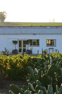a white building with a cactus in front of it at The Old Dairy at Allemanskloof in Paarl