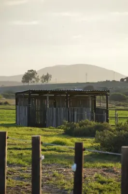 an old building in a field with a fence at The Old Dairy at Allemanskloof in Paarl