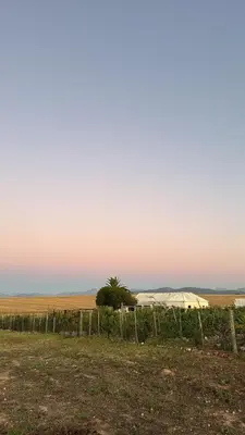 a field with a fence and a tree in the distance at The Old Dairy at Allemanskloof in Paarl