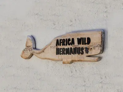 a sign that says arica wild instruments on a wall at AFRICA WILD HERMANUS Luxury Self Catering Accommodation in Hermanus