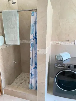 a shower with a washing machine in a bathroom at Birds Nest Holiday Apartment in Zeekoevlei