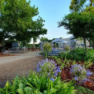 PicardiPlace