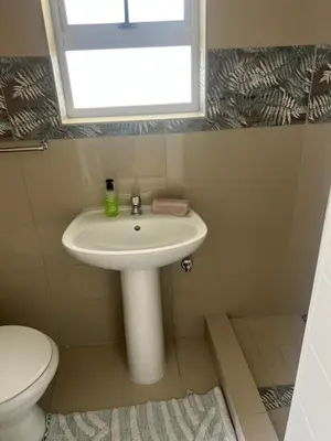 a bathroom with a sink and a toilet and a window at Nemesia guest house in Cape Town