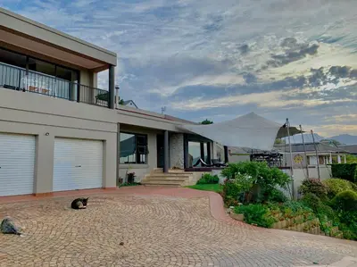 a cat sitting in front of a house at Dream Views in Somerset West