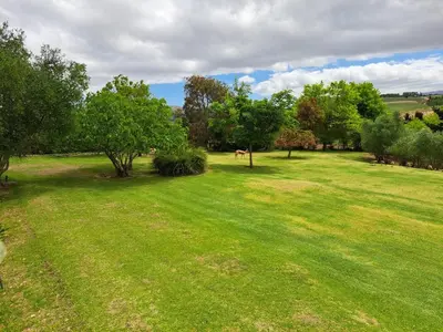 a green field with trees and a horse in the distance at Glengarry in Grabouw