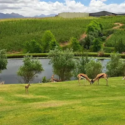 Glengarry