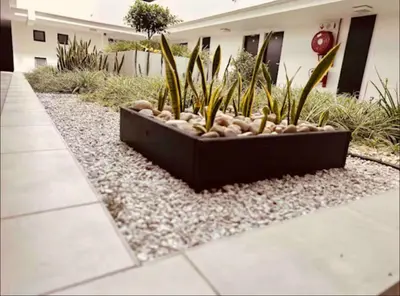 a garden with a planter with plants in it at Beach Front in Cape Town
