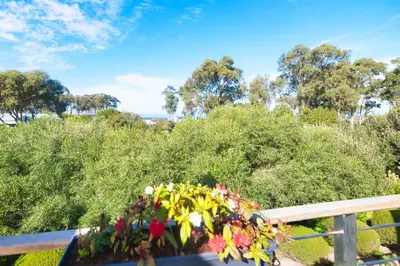 a potted plant on a railing with trees in the background at On Golf Estate Sea & Mountain Views Design Winner in Hermanus