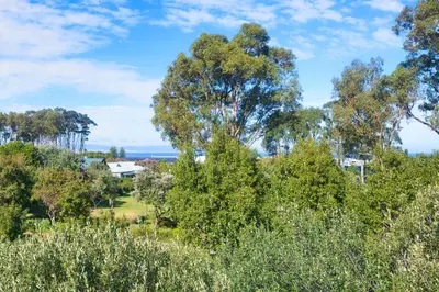 a view of a park with trees and the ocean at On Golf Estate Sea & Mountain Views Design Winner in Hermanus