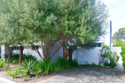 a tree in front of a white building at On Golf Estate Sea & Mountain Views Design Winner in Hermanus