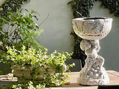 a statue sitting on a table next to some plants at Garden Hideaway in Stellenbosch