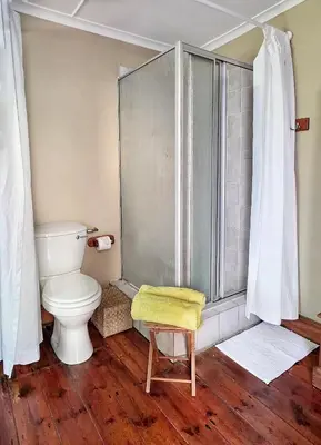 a bathroom with a toilet and a glass shower at Sunbird room in Cape Town